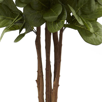 6ft. Fiddle Leaf Fig Tree