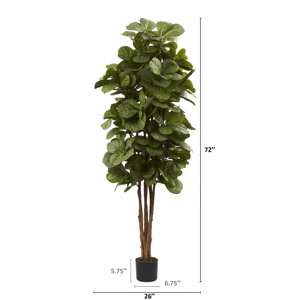 6ft. Fiddle Leaf Fig Tree