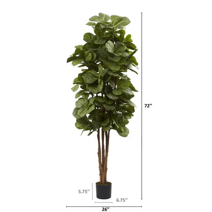 6ft. Fiddle Leaf Fig Tree