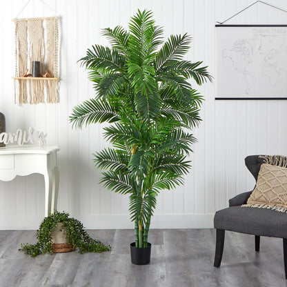 6ft. Curvy Parlor Palm Silk Tree