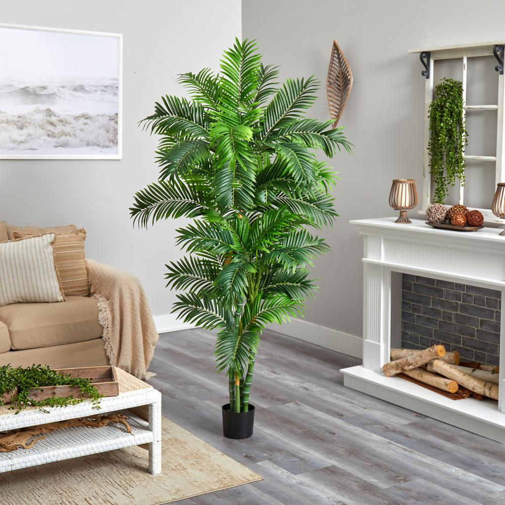 6ft. Curvy Parlor Palm Silk Tree