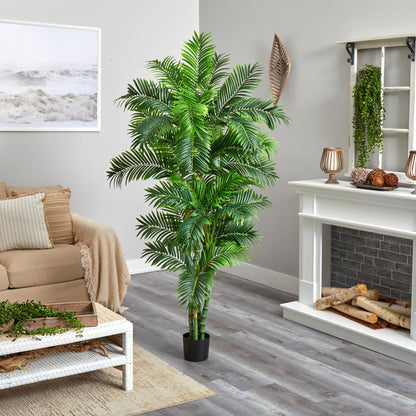 6ft. Curvy Parlor Palm Silk Tree