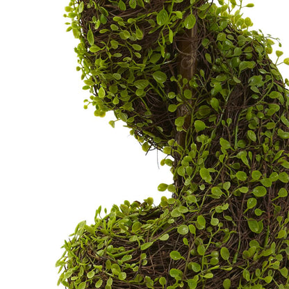 4ft. Mohlenbechia Spiral Tree