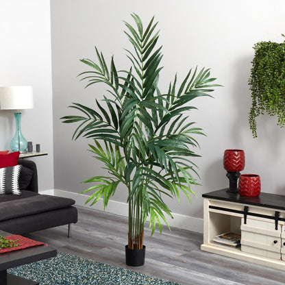 6ft. Kentia Palm Tree