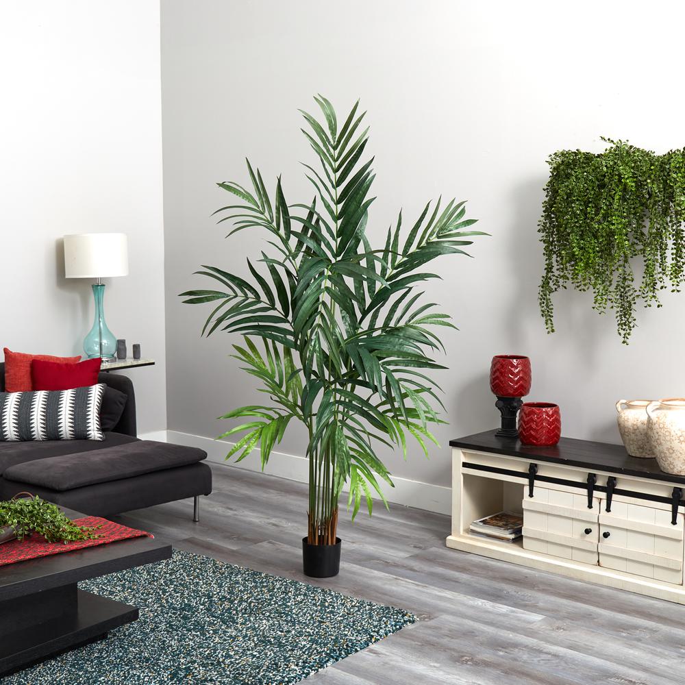 6ft. Kentia Palm Tree