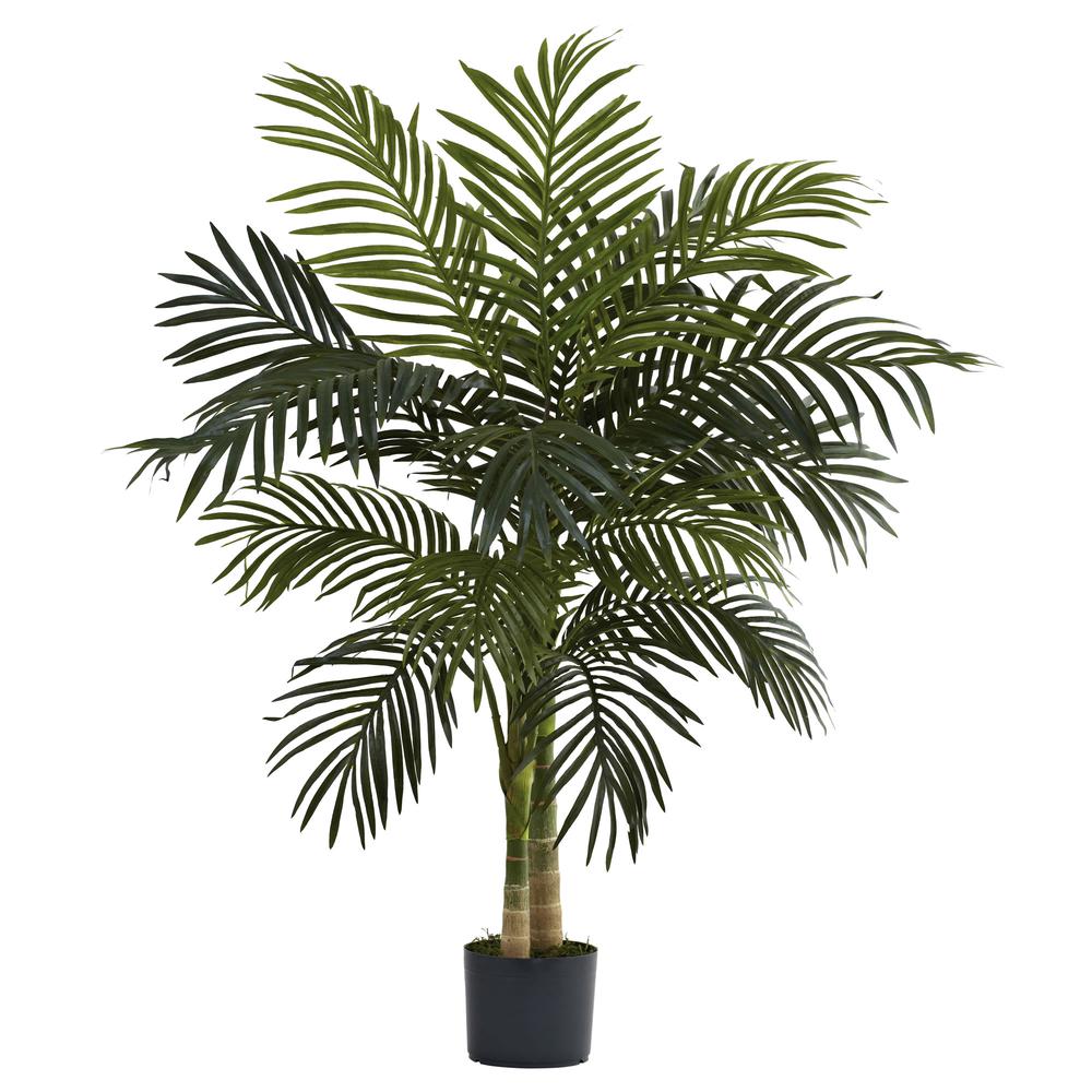 4ft. Golden Cane Palm Tree