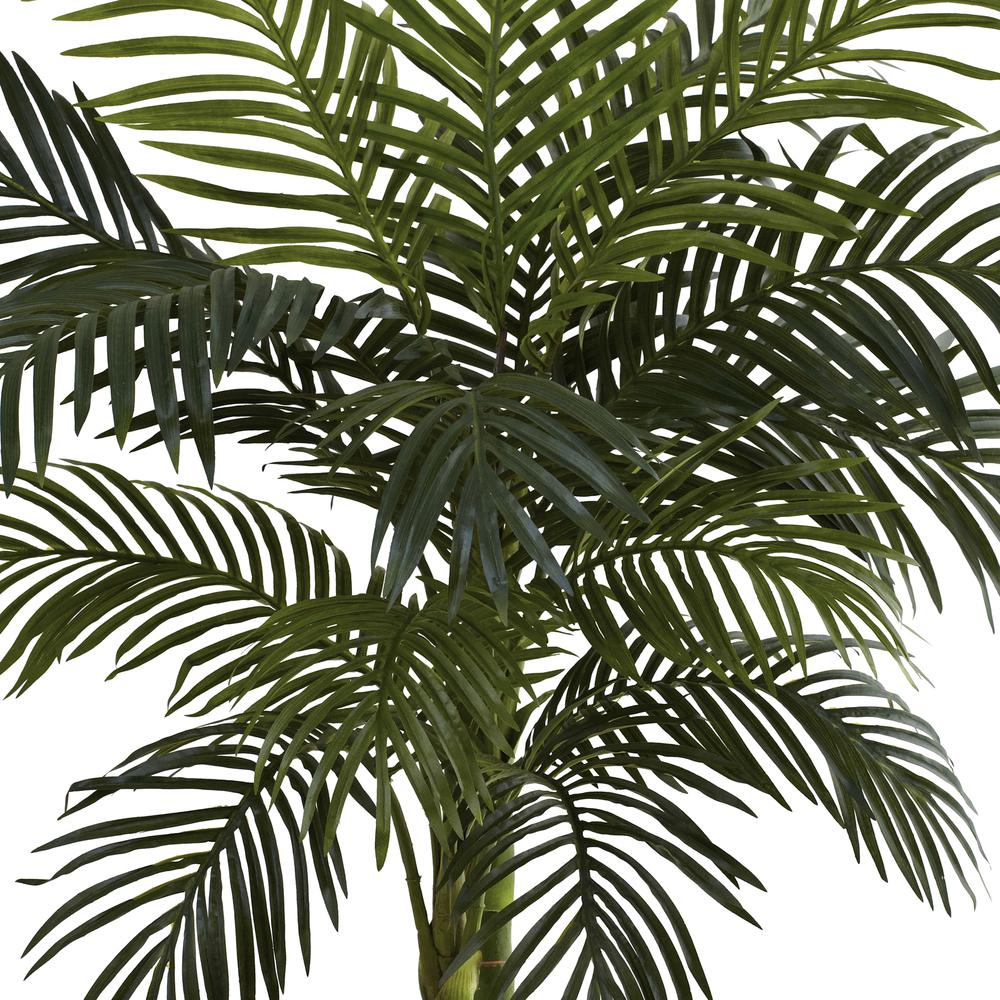4ft. Golden Cane Palm Tree