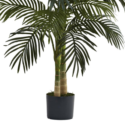 4ft. Golden Cane Palm Tree