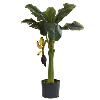 3ft. Banana Tree