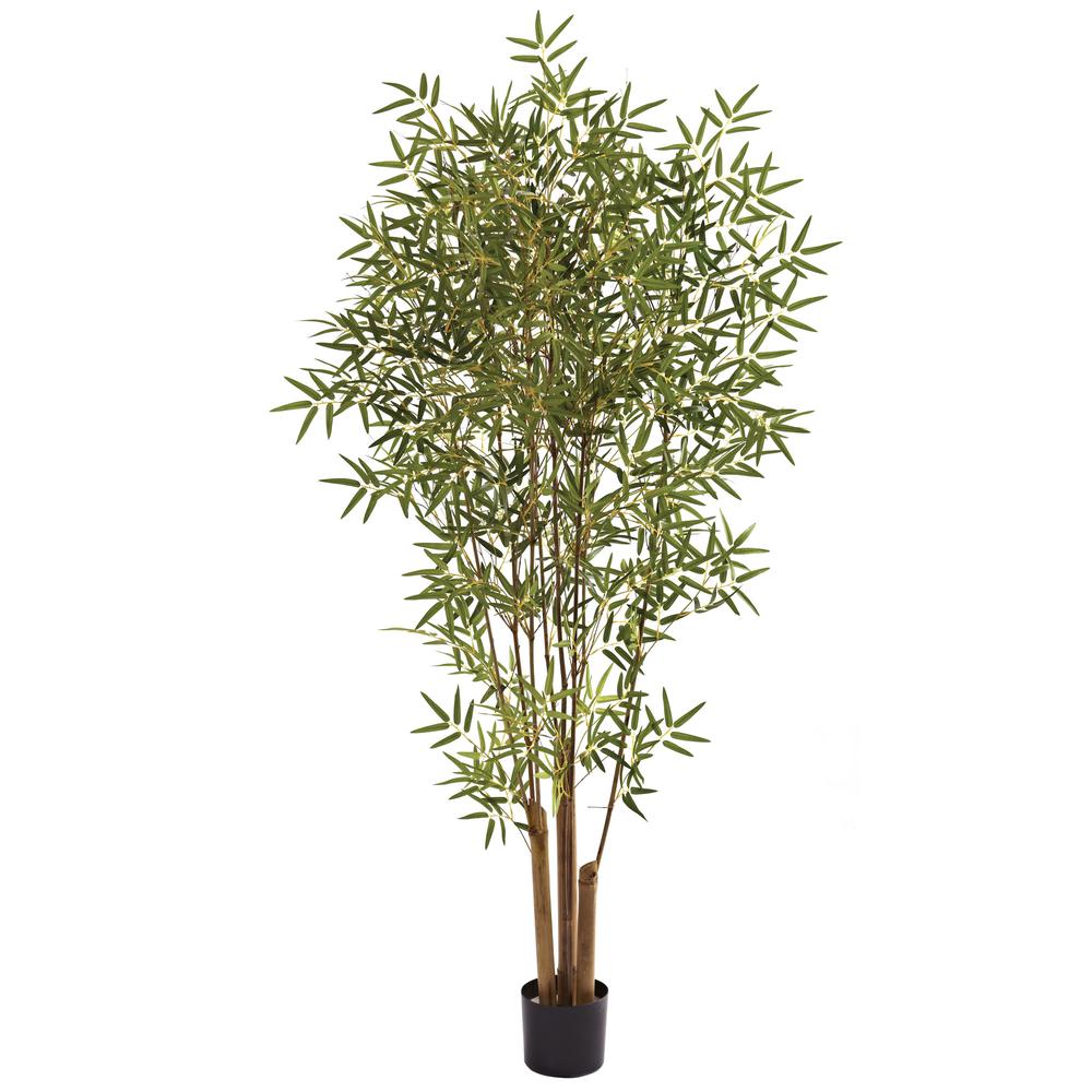 6ft. Japanese Bamboo Tree