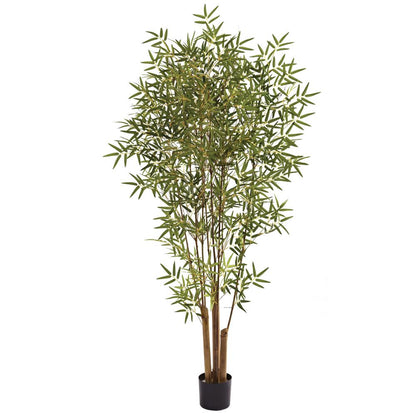 6ft. Japanese Bamboo Tree