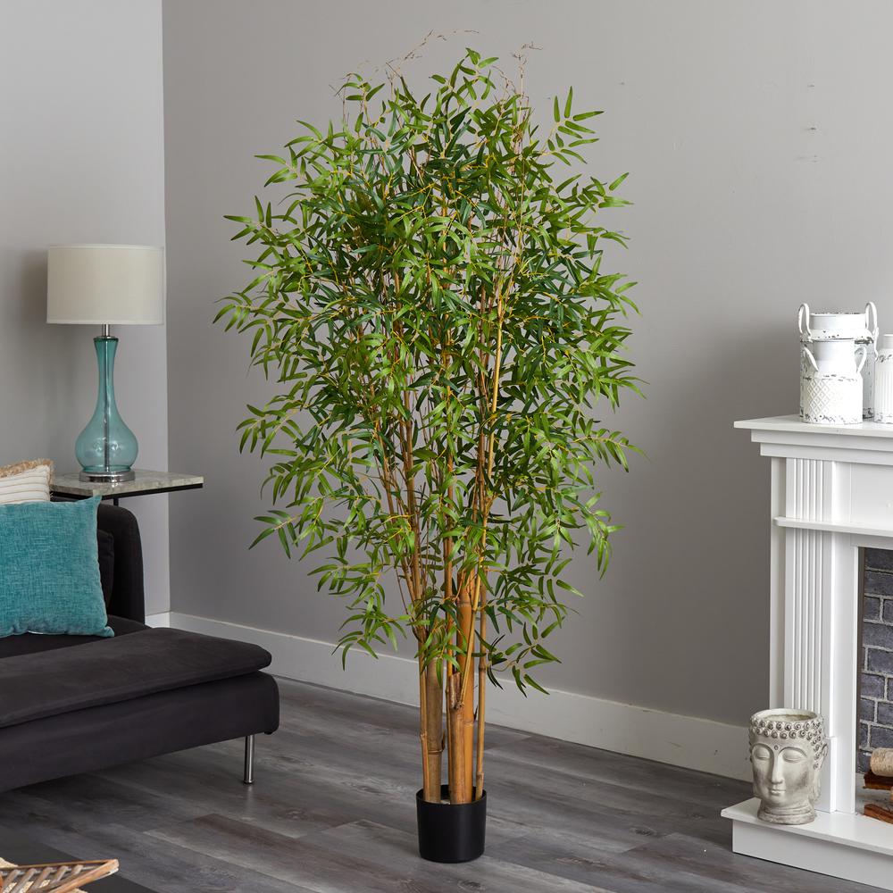 6ft. Japanese Bamboo Tree