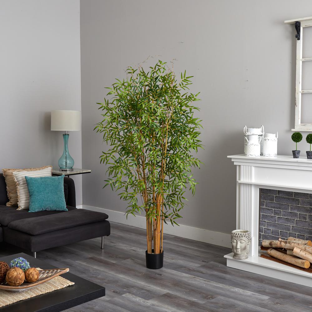 6ft. Japanese Bamboo Tree