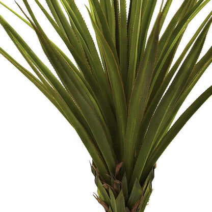 5ft. Spiked Agave Tree