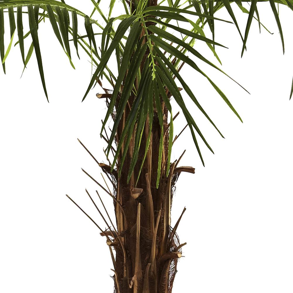 6ft. Robellini Palm Tree