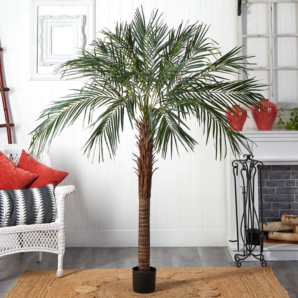 6ft. Robellini Palm Tree