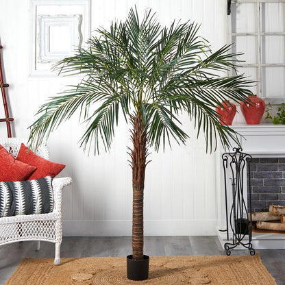 6ft. Robellini Palm Tree