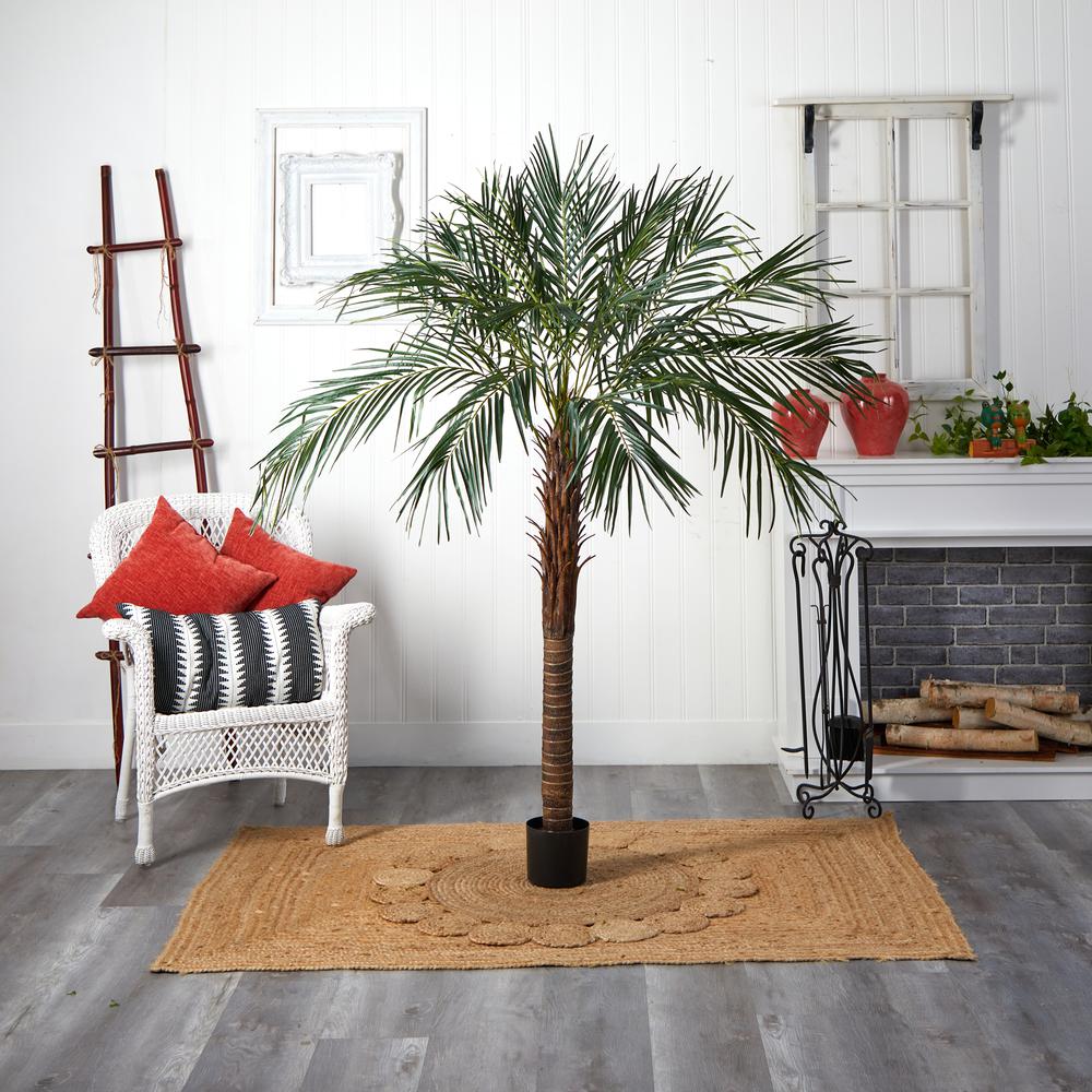 6ft. Robellini Palm Tree