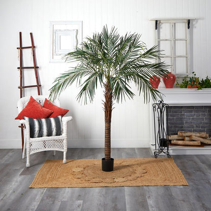 6ft. Robellini Palm Tree