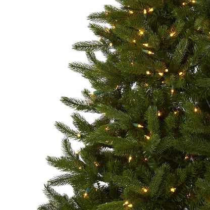 7.5ft. Rembrandt Christmas Tree with Clear Lights
