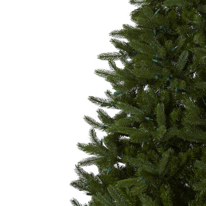 7.5ft. Rembrandt Christmas Tree with Clear Lights