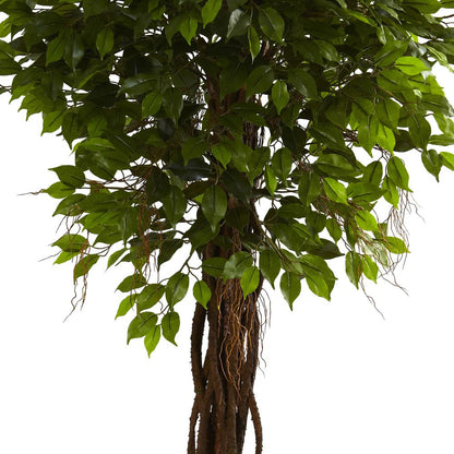 7.5ft. Ficus Tree UV Resistant (Indoor/Outdoor)