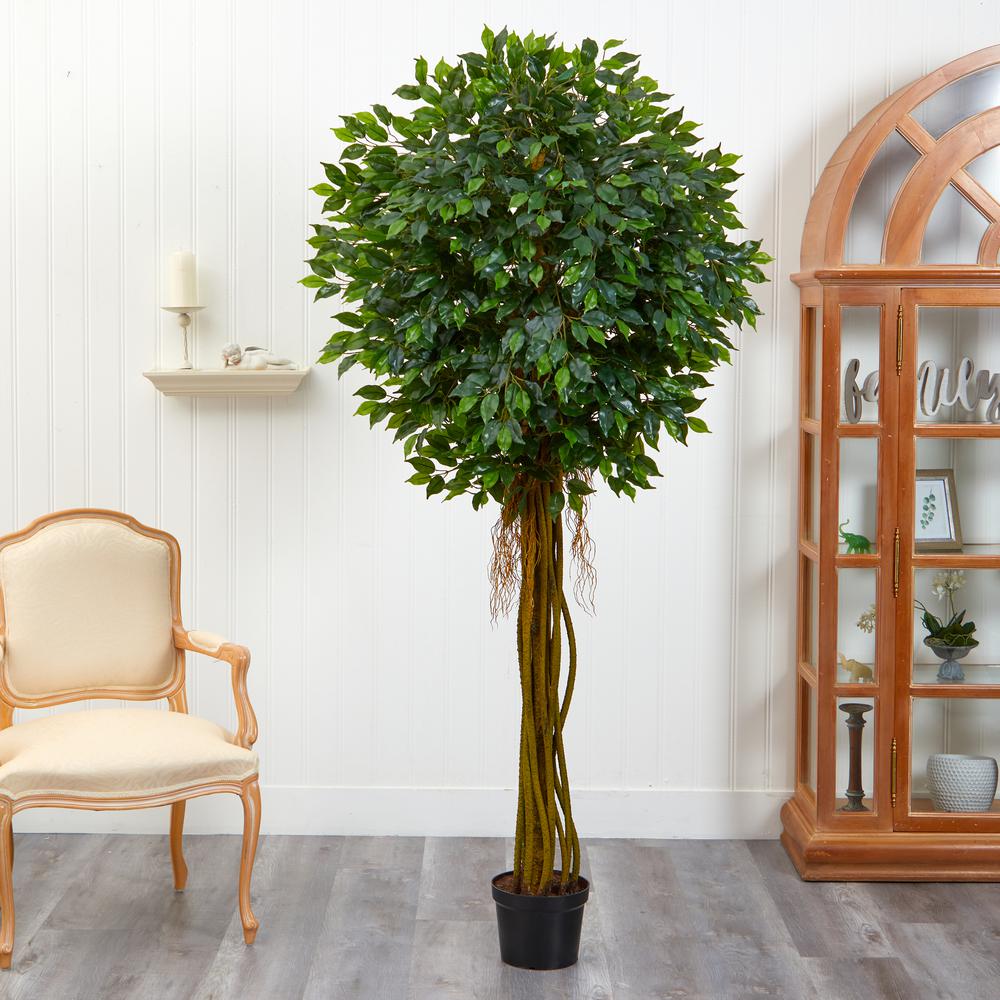 7.5ft. Ficus Tree UV Resistant (Indoor/Outdoor)