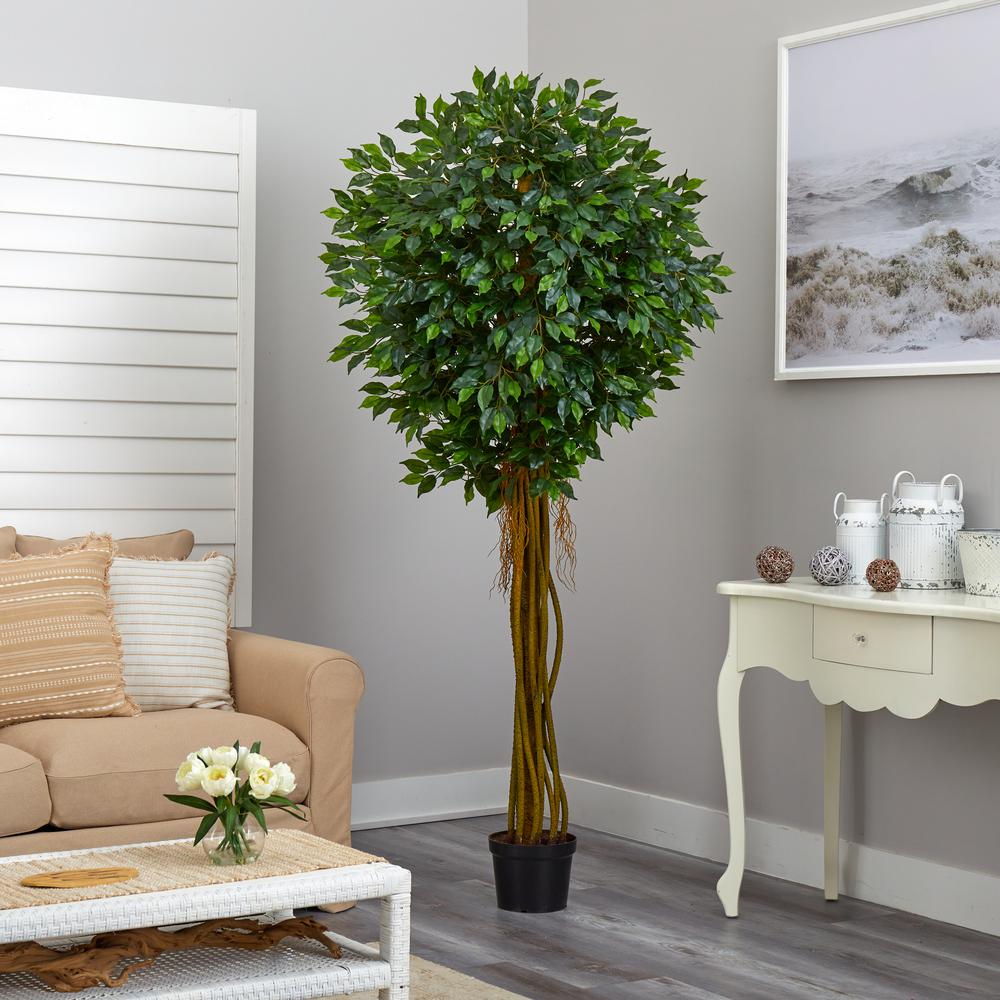 7.5ft. Ficus Tree UV Resistant (Indoor/Outdoor)