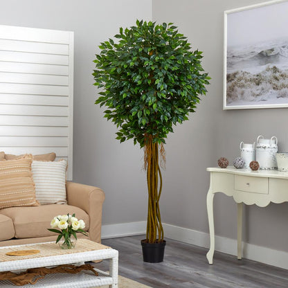 7.5ft. Ficus Tree UV Resistant (Indoor/Outdoor)
