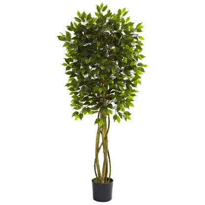 5.5ft. Ficus Tree UV Resistant (Indoor/Outdoor)
