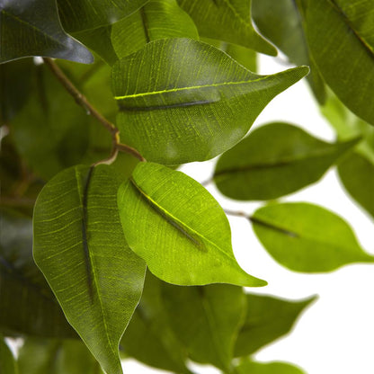 5.5ft. Ficus Tree UV Resistant (Indoor/Outdoor)