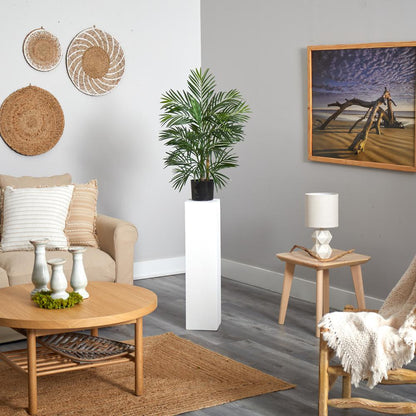 2.5ft. Areca Palm UV Resistant (Indoor/Outdoor)
