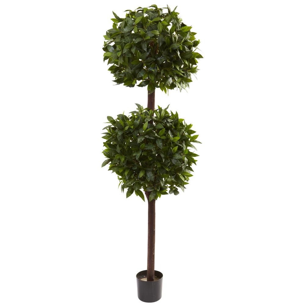 6ft. Sweet Bay Double Ball Topiary