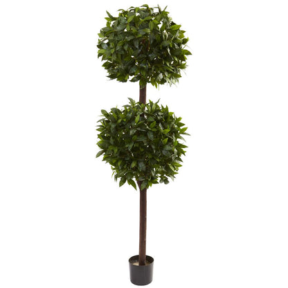 6ft. Sweet Bay Double Ball Topiary