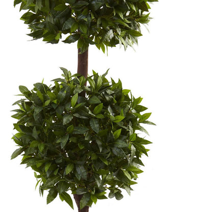 6ft. Sweet Bay Double Ball Topiary