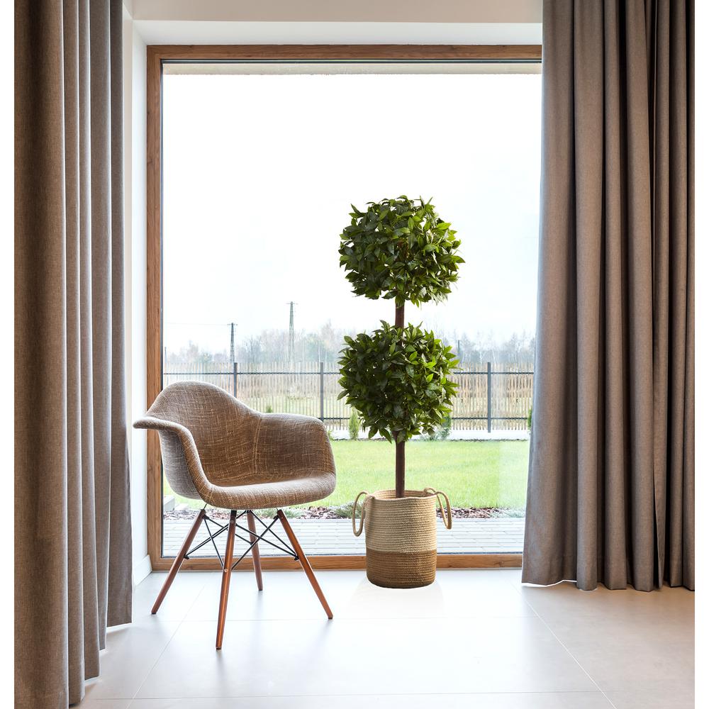 6ft. Sweet Bay Double Ball Topiary