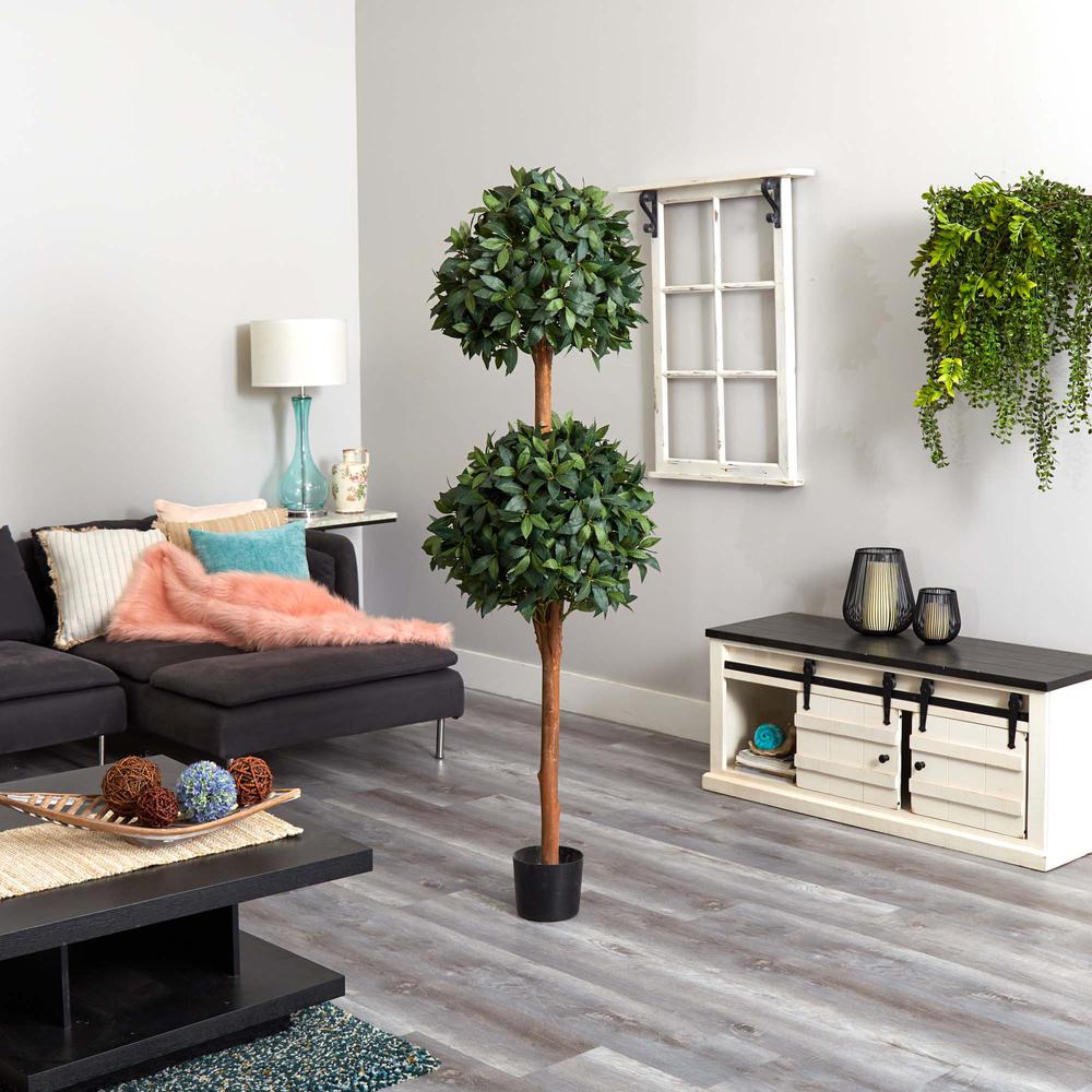 6ft. Sweet Bay Double Ball Topiary