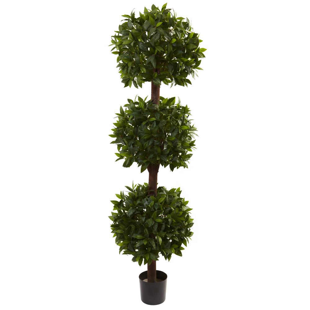 6.5ft. Sweet Bay Triple Ball Topiary