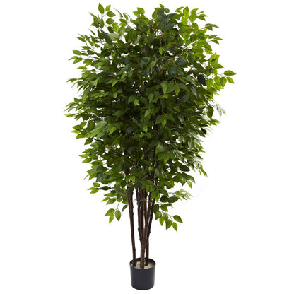 6.5ft. Deluxe Ficus Tree