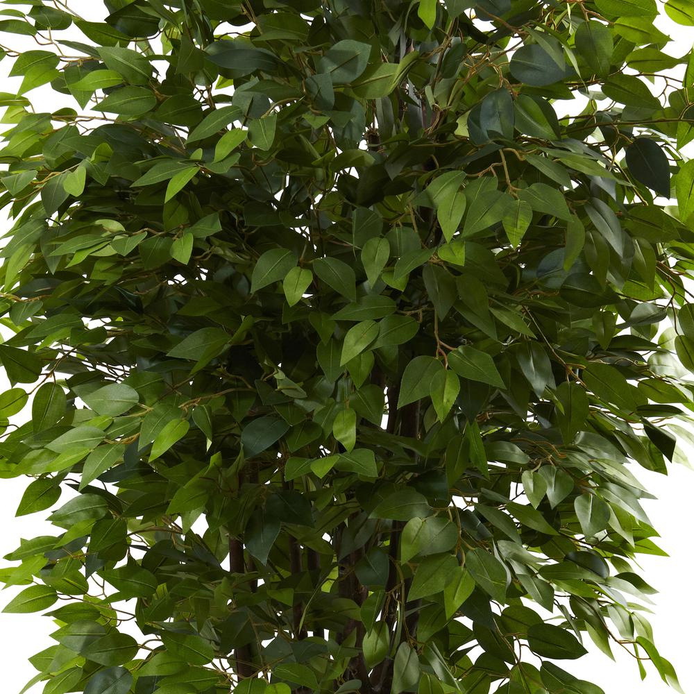6.5ft. Deluxe Ficus Tree