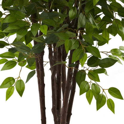 6.5ft. Deluxe Ficus Tree