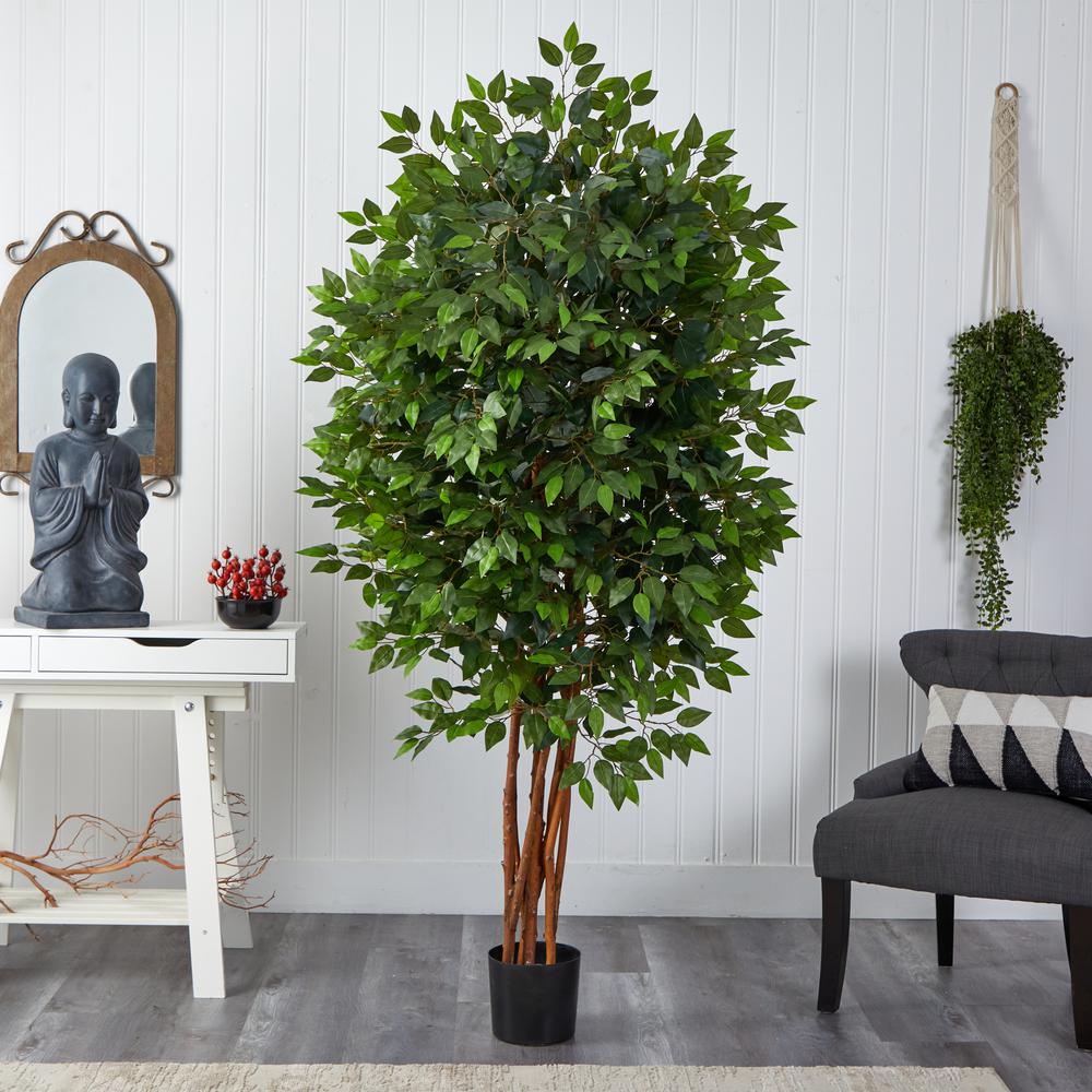 6.5ft. Deluxe Ficus Tree
