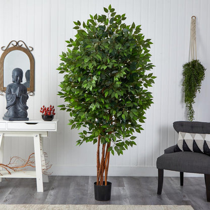 6.5ft. Deluxe Ficus Tree