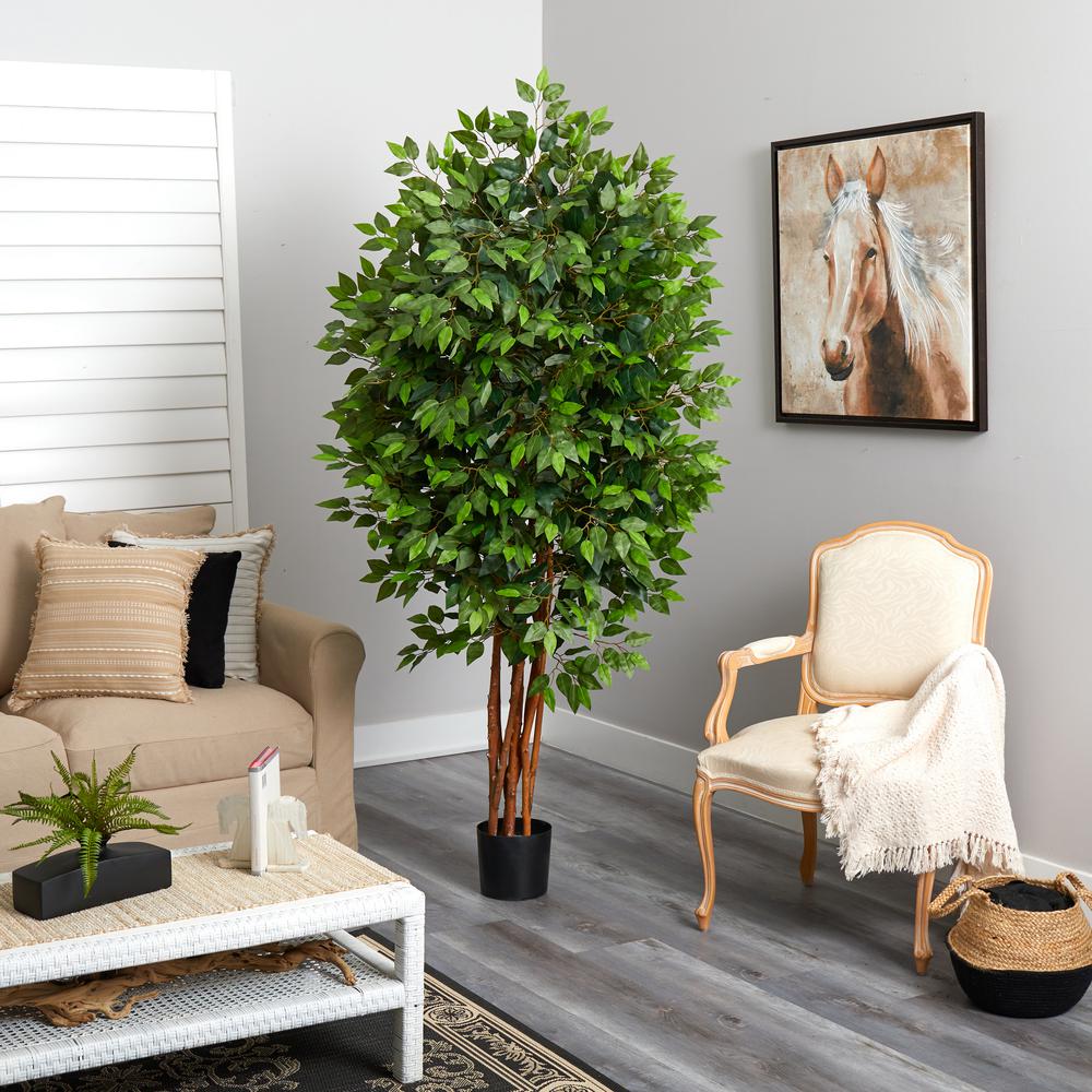 6.5ft. Deluxe Ficus Tree