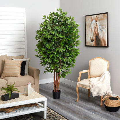 6.5ft. Deluxe Ficus Tree