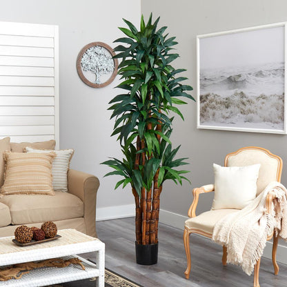 6.5ft. Dracaena Tree