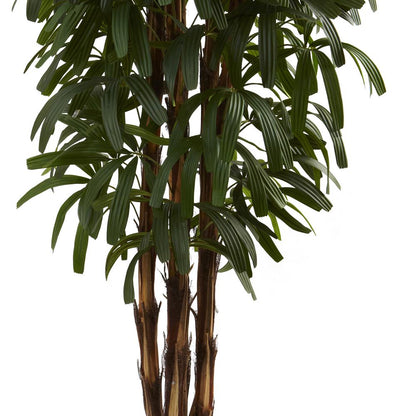 6ft. Raphis Palm Tree
