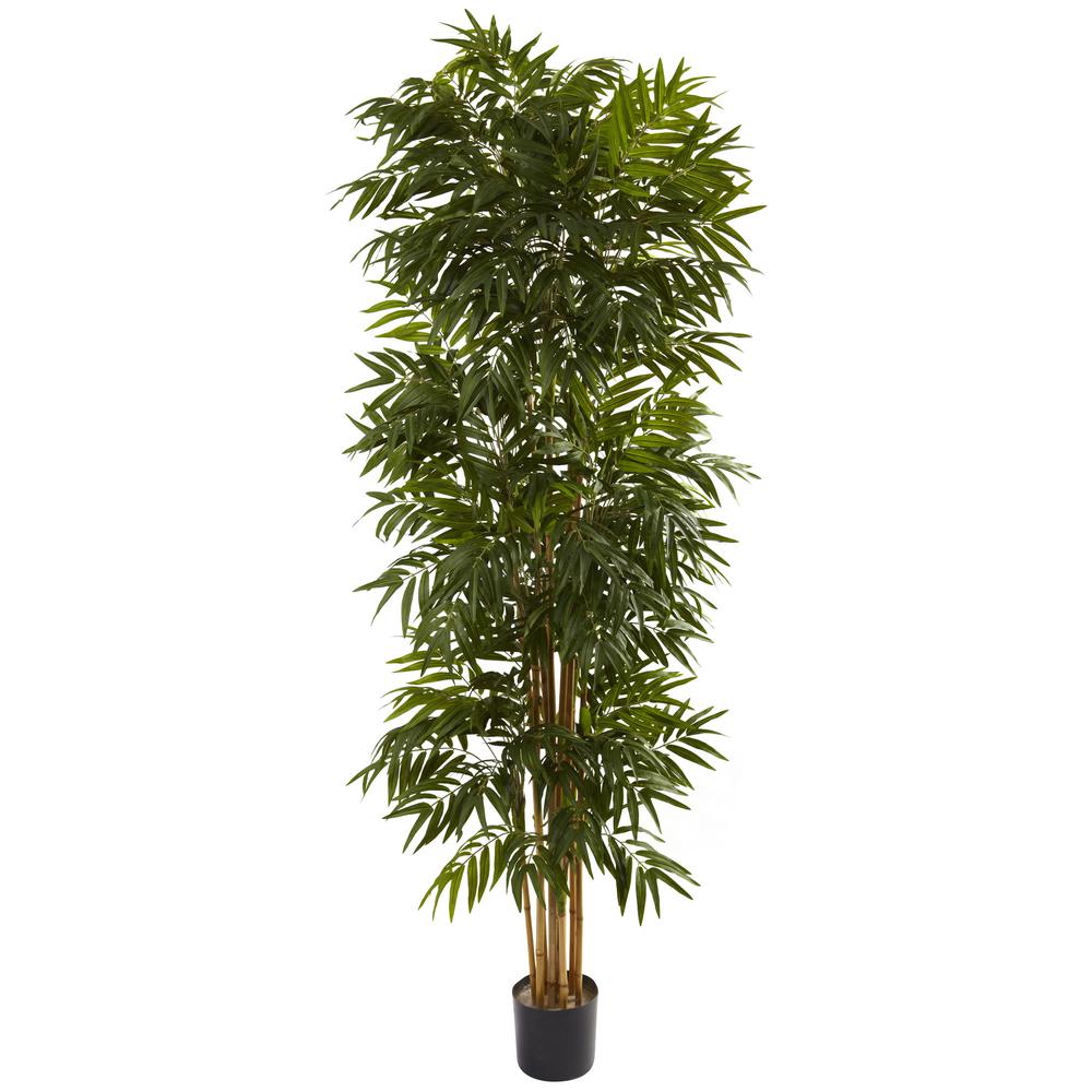7.5ft. Phoenix Palm Tree