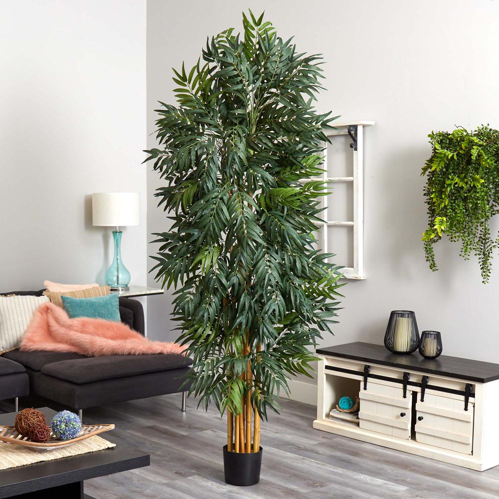 7.5ft. Phoenix Palm Tree