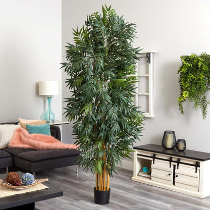 7.5ft. Phoenix Palm Tree